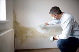 Best Mold Odor Removal Services  in Trainer, PA